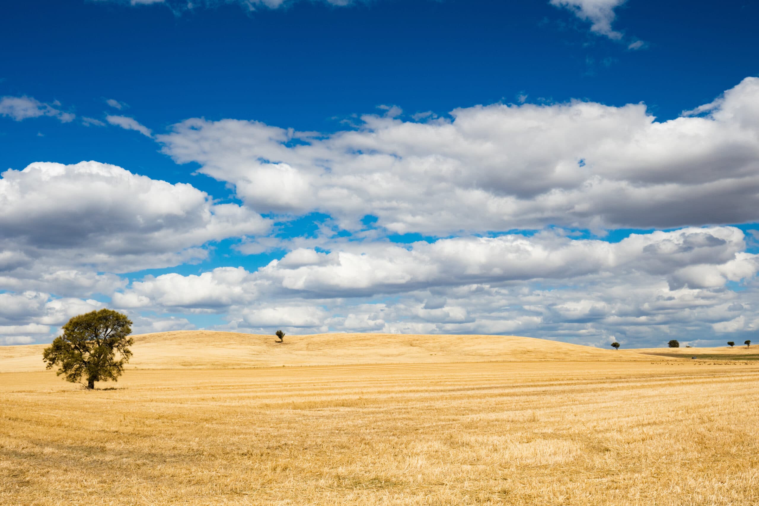 Loddon Mallee region