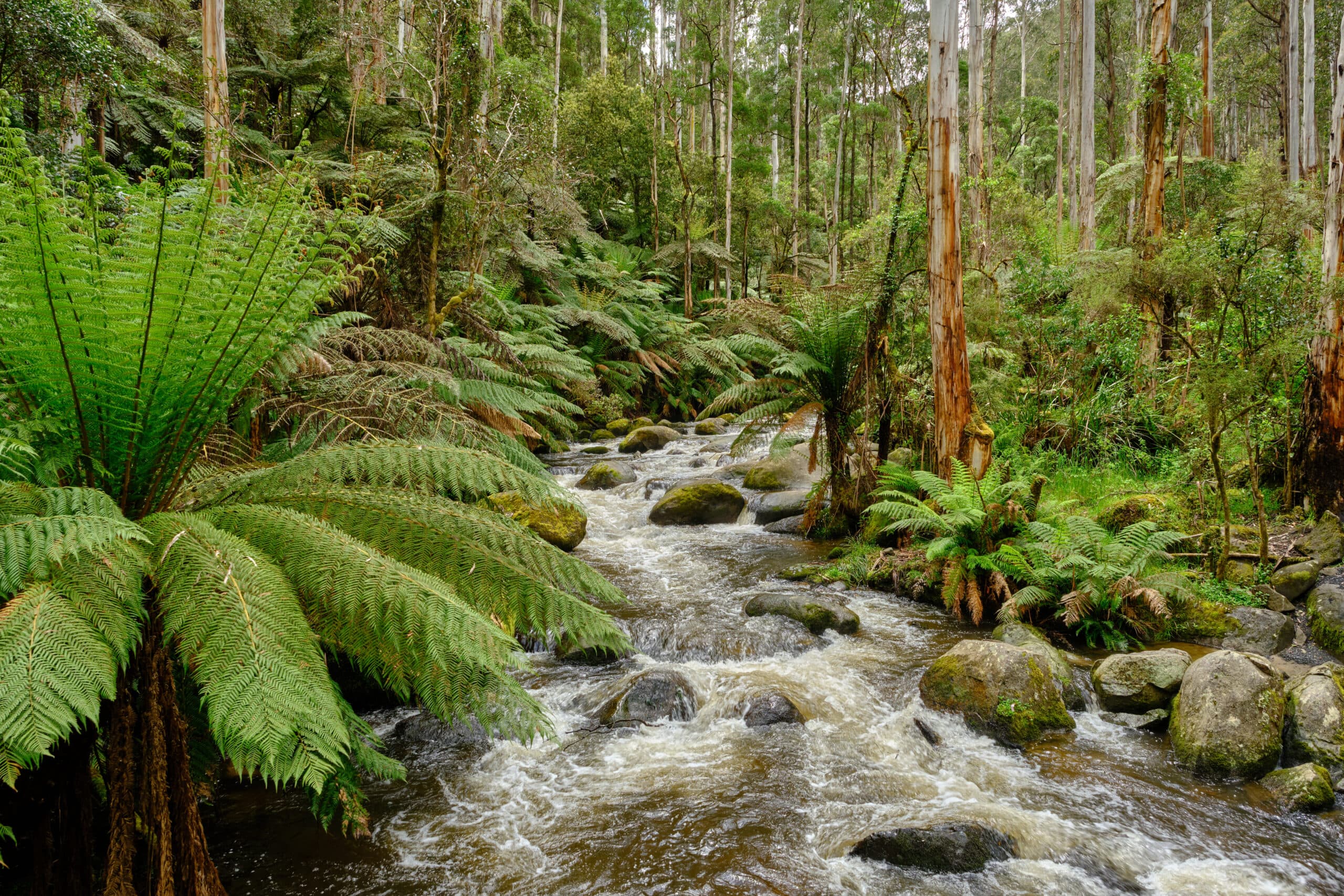 Gippsland, Victoria